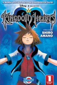 Kingdom Hearts 1 di 4