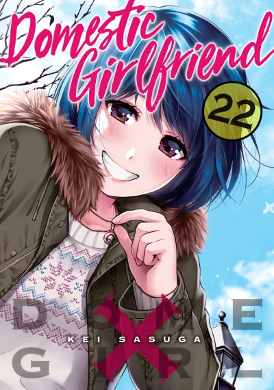 Cover of Vol. 22