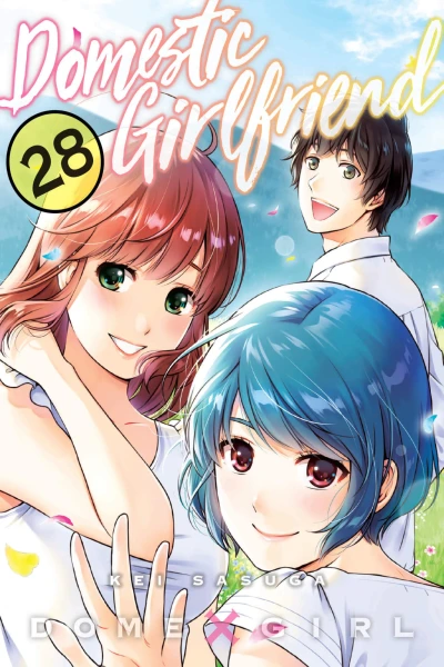 Cover of Vol. 28