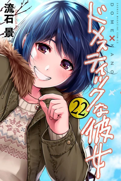 Cover of Vol. 22