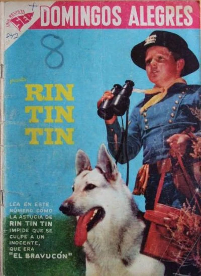 Cover of Rin TIn Tin
