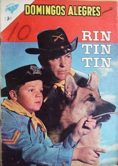 Cover of Rin TIn TIn