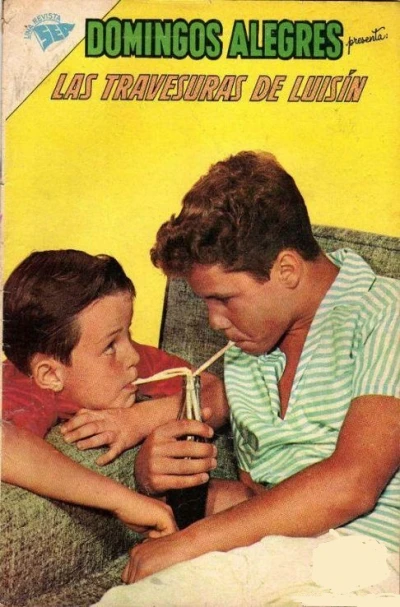 Cover of Les Travesras de Luisin