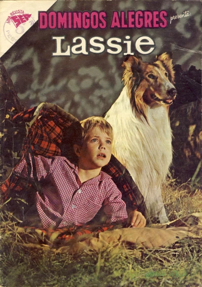 Cover of Lassie