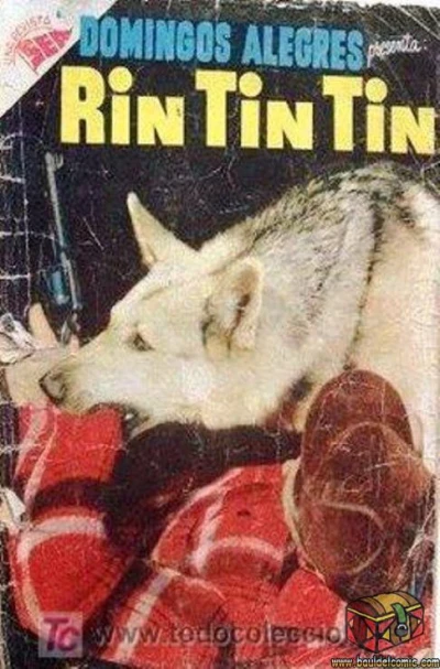 Cover of Rin Tin Tin
