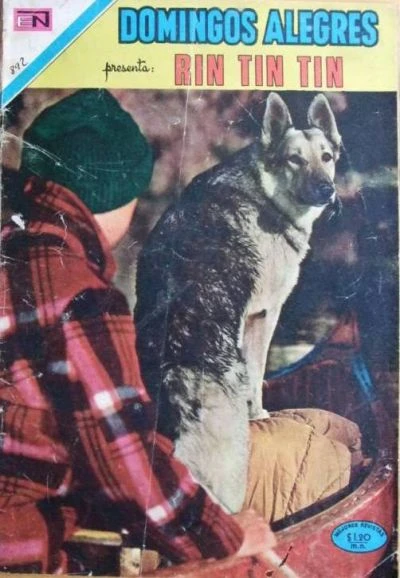 Cover of Rin Tin Tin