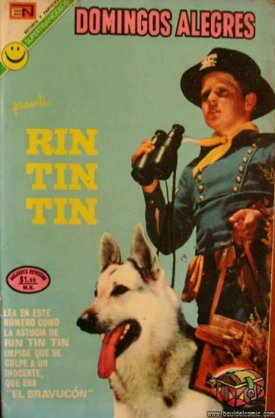Cover of Rin Tin Tin