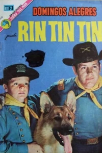 Rin Tin Tin
