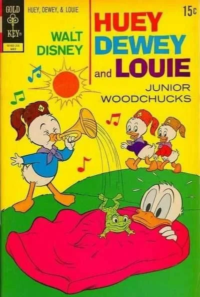 Cover of Duckmade Disaster