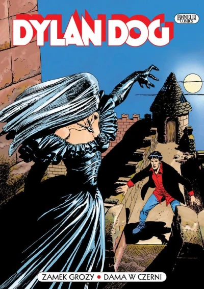 Cover of Zamek grozy; Dama w czerni