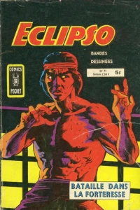 Bataille dans la Forteresse