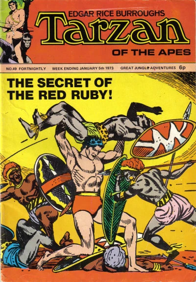 Cover of The Secret of the Red Ruby