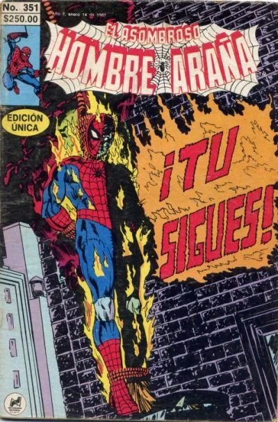 Cover of Tu Sigues!