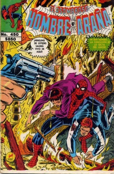 Cover of ¡Auto de Fe!