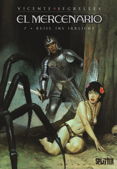 Cover of Reise ins Irrlicht