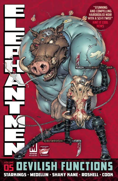 Cover of Devilish Functions