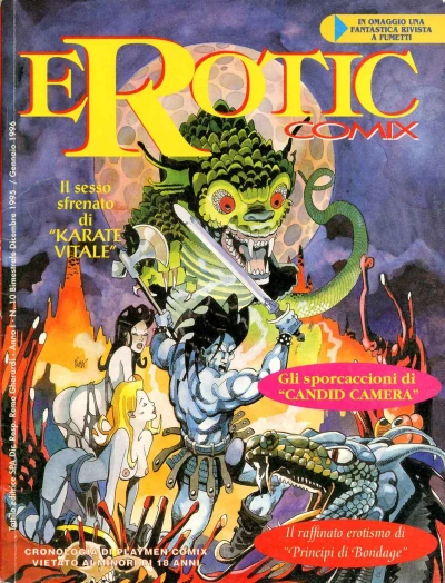 Cover of Issue #10