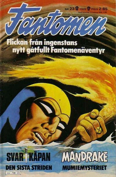 Cover of Flickan från ingenstans