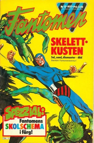 Cover of Skelettkusten