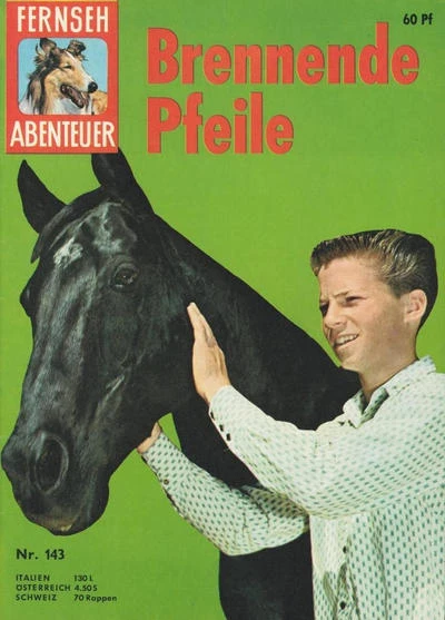 Cover of Brennende Pfeile