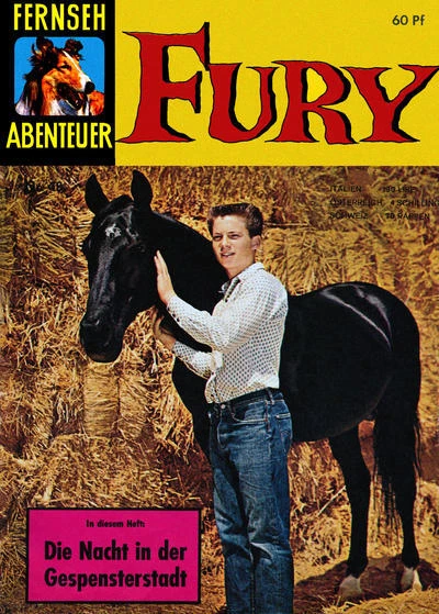 Cover of Fury