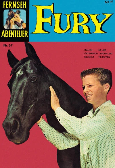Cover of Fury