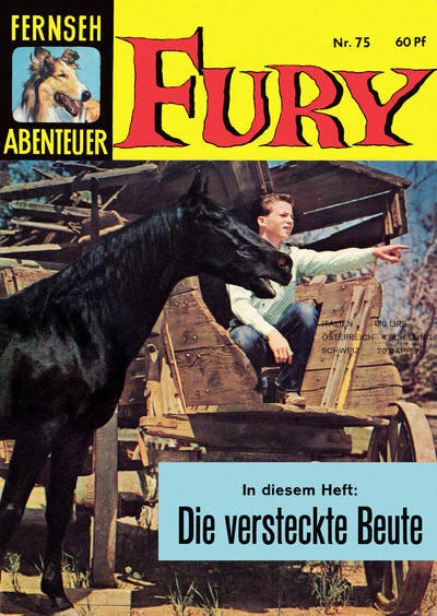 Cover of Fury
