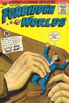 Little Man, What Now?