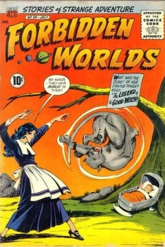 The Legend of the Good Witch