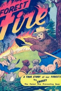 A True Story of Our Forests