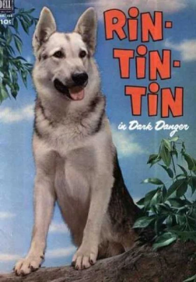 Cover of Rin-Tin-Tin in Dark Danger
