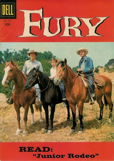 Cover of Fury