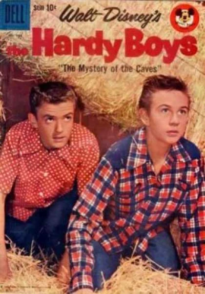 Cover of Walt Disney's The Hardy Boys