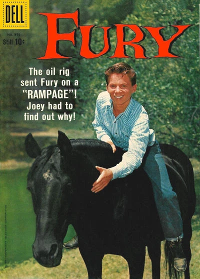 Cover of Fury