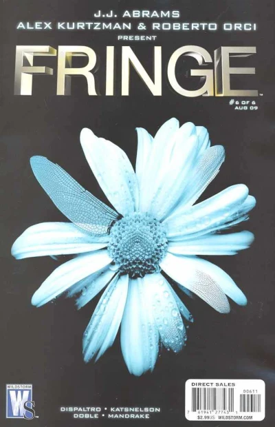 Cover of The Visitor