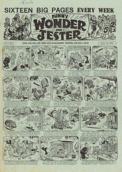 Cover of Funny Wonder and Jester