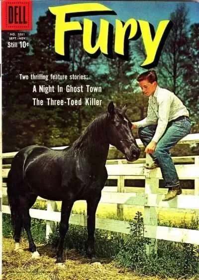 Cover of Fury