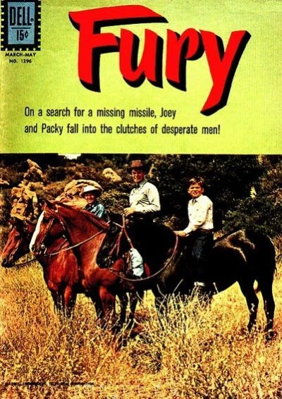 Cover of Fury