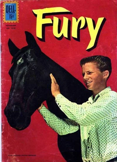 Cover of Fury