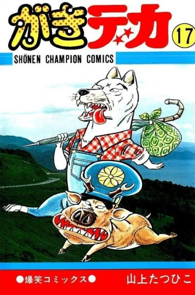 Cover of Vol. 17