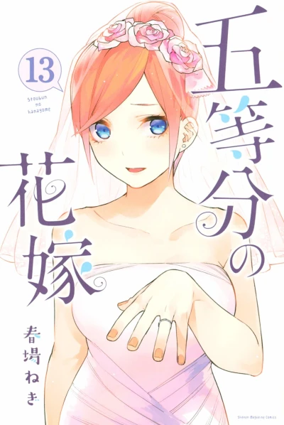 Cover of Vol. 13