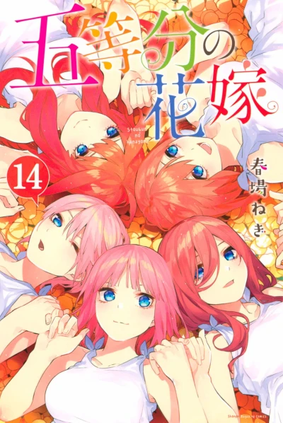 Cover of Vol. 14