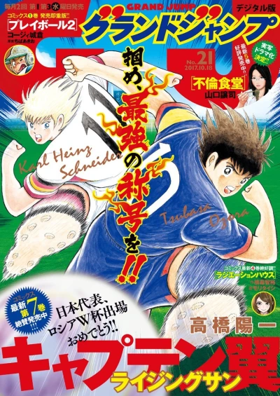 Cover of No. 21, 2017