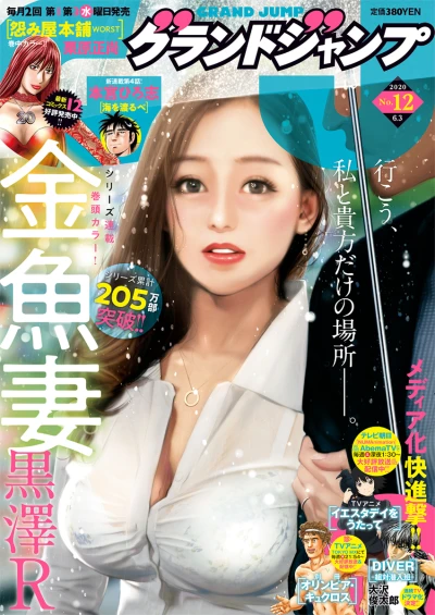 Cover of No. 12, 2020