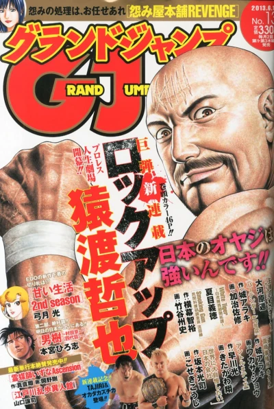 Cover of No. 13, 2013