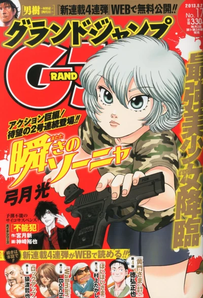 Cover of No. 17, 2013