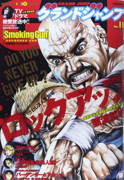 Cover of No. 11, 2014