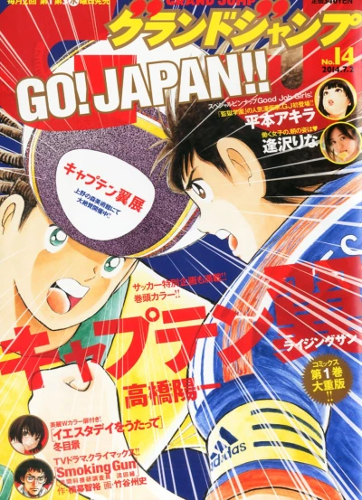 Cover of No. 14, 2014