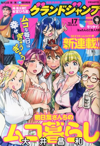 Cover of No. 17, 2015