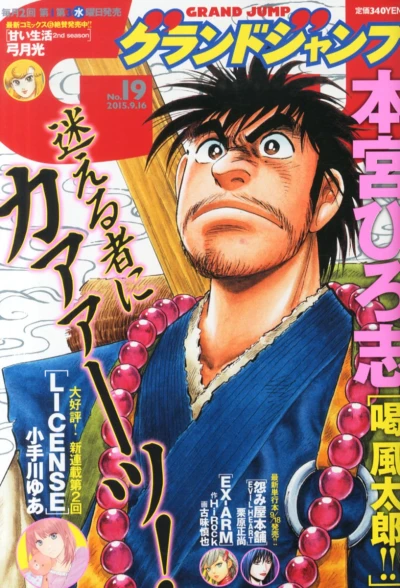 Cover of No. 19, 2015